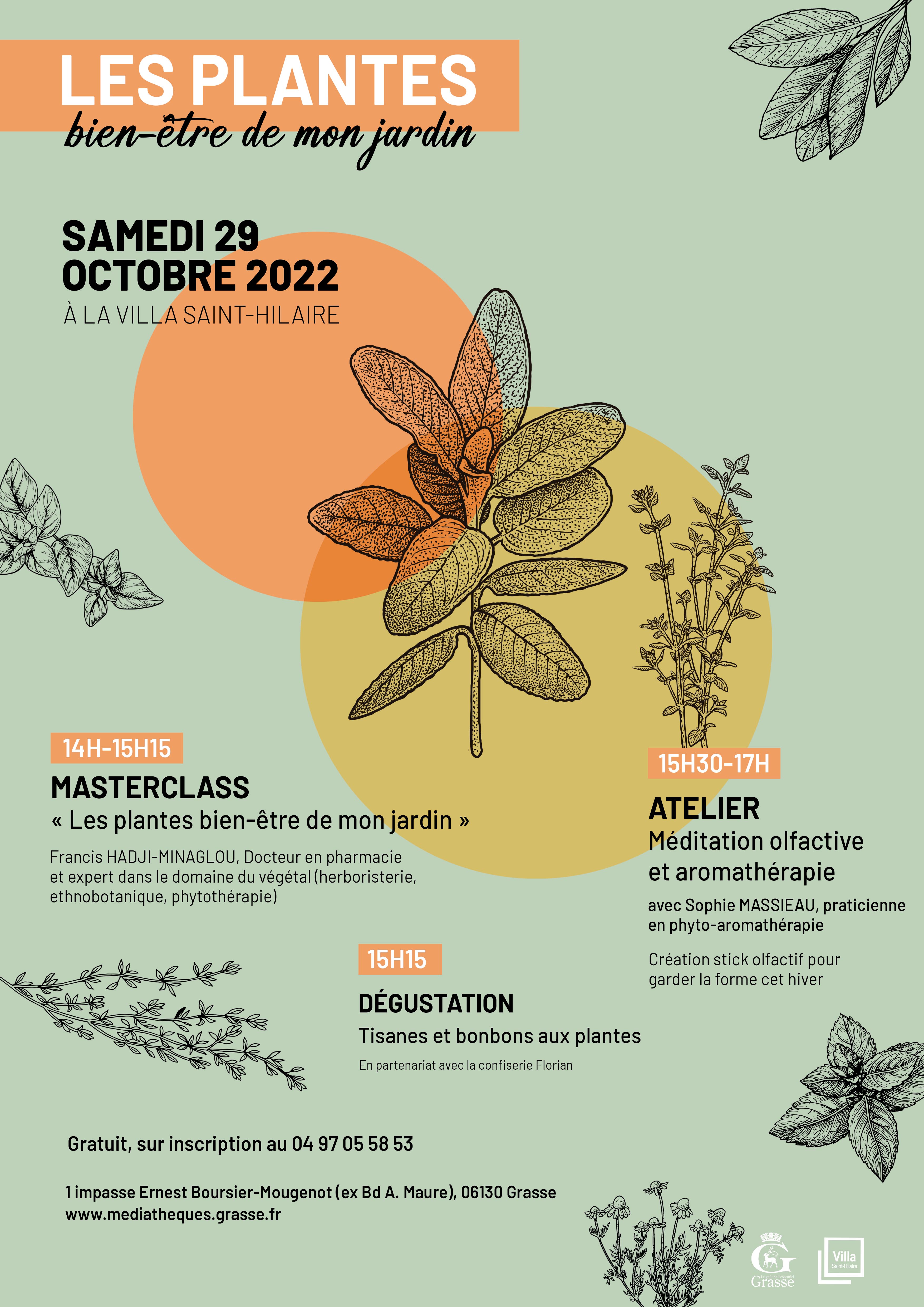 Les_plantes_bien-être_dans_mon_jardin.jpg